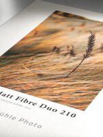 Matt Fibre Duo 210