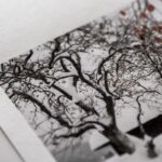 Kozo Thick 110gsm White A3+ 10 Sheets - Image 3